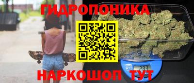 гашик Жуковский