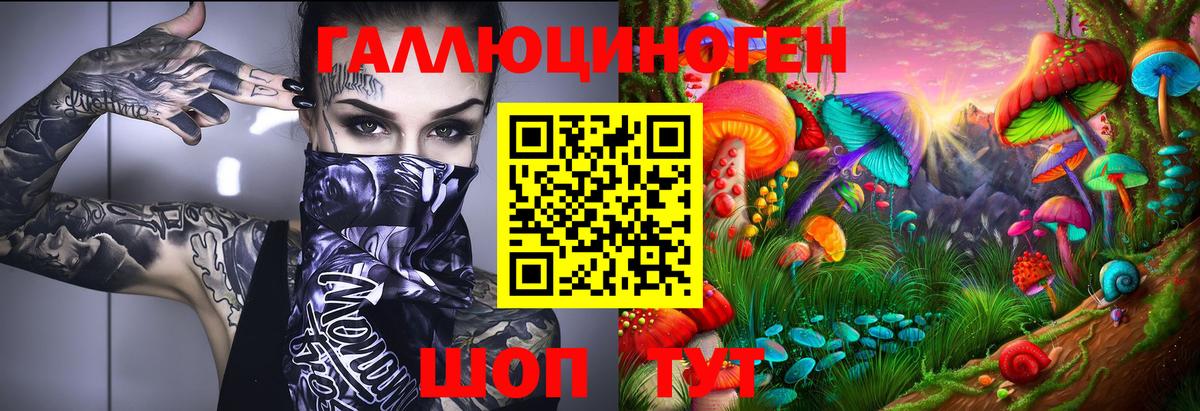 Минусинск  Псилоцибиновые грибы MAGIC MUSHROOMS  Вход с VPN 
